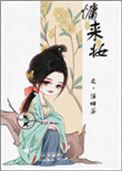 慵来妆讲什么