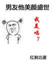 男友他美颜盛世番外