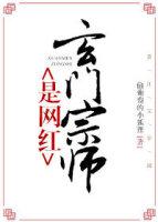 玄门宗师是网红无防弹免费阅读