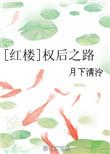红楼权后之路月下清泠