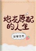炮灰原配的人生(快穿)t