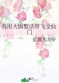 我用大锅整活带飞全仙门by盐焗大龙虾