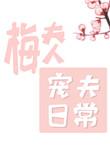 梅夫人宠夫日常阅读