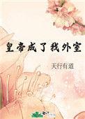 皇帝成了我外室格格党