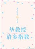 毕先生
