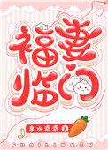 福妻临门 北紫