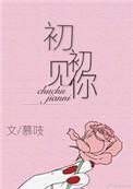 初初见你番外