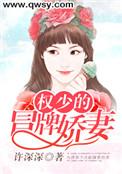 权少撩妻上瘾全文阅读