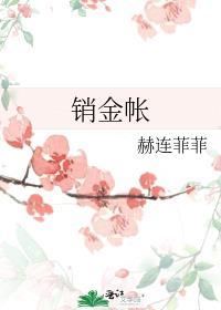 销金帐赫连