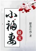 娇宠小福宝txt