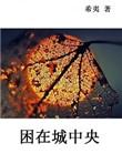 困在城中央希夷讲的什么
