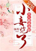 夫人跟老爷小妾跑了txt