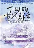 丁田的古代生活 外篇