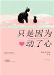 只是因为动了情歌词