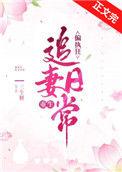 偏执狂追妻日常 百度