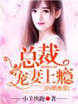 闪婚蜜爱总裁宠妻上瘾 小羊快跑