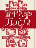 重生八零万元户免费阅读玲珑