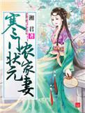 寒门状元农家妻TXT百度