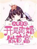 九零弃妇开局离婚做首富无广告