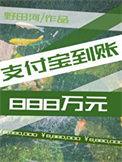 支付宝到账888万元最新章节