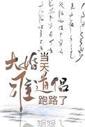大婚当天准道侣跑路了类似文推荐
