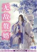 无敌赘婿by玚瑷方天涯笔趣阁