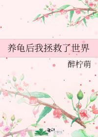 我养了一个小乌龟