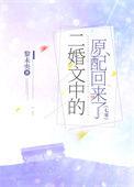二婚经典