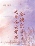 穿书光明圣女