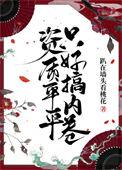 资质平平只好搞内卷免费听书