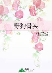 野狗骨头免费阅读