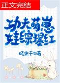 功夫宝宝视频教程