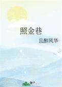 照金巷阅读