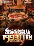 发家致富从1993开始txt