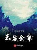 玉宸金章txt米趣