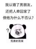 将错就错的拼音
