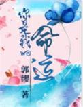 电影你是我的命运
