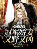 重生九零冠军娇妻又野又凶精校版