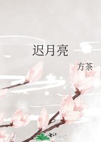 迟月亮方茶全文免费阅读晋江