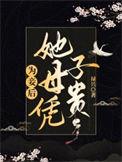 为妾后她母凭子贵作者 禄兴