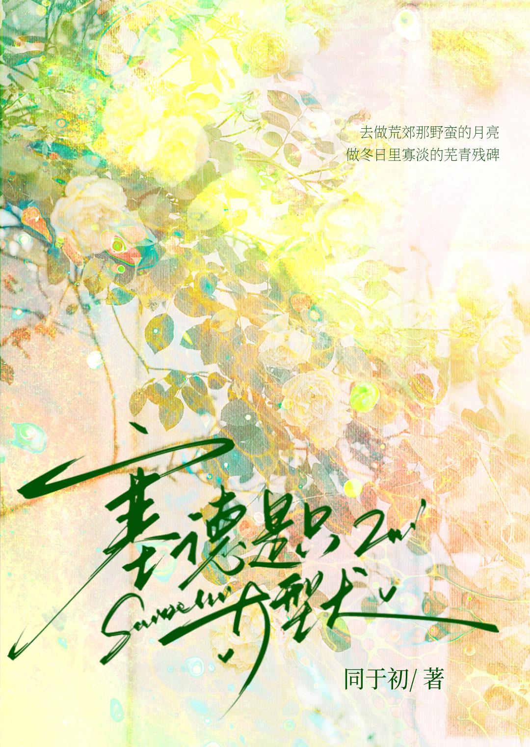 塞德16