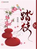 踏枝番外