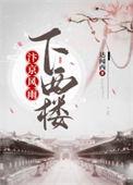 汴京风雨下西楼讲的什么