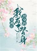 穿越后我成了替身全文