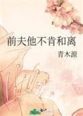 前夫他不肯和离 青木源晋江