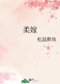 柔嫁女柳家动漫