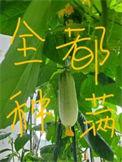 全修真界把我当成团宠