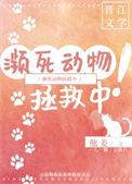 动物濒危视频