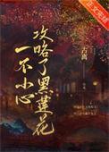 一不小心攻略了黑莲花笔趣阁