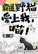 霸道野王爱上我什么梗